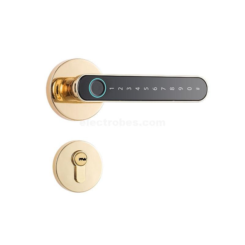 Smart Electronic Door Lock with Fingerprint, Password, Card, Remote Control, Tuya Wifi APP Security Door Lock for Homes Offices Apartments (Golden) at best price online in islamabad rawalpindi lahore peshawar faisalabad karachi hyderabad quetta wah taxila Pakistan
