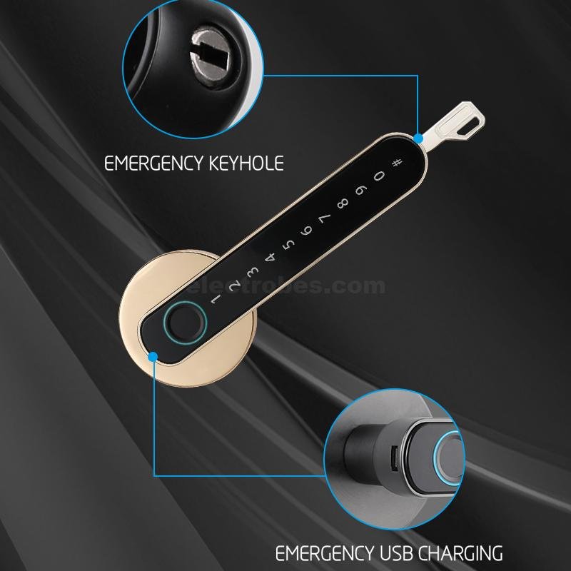 Smart Electronic Door Lock with Fingerprint, Password, Card, Remote Control, Tuya Wifi APP Security Door Lock for Homes Offices Apartments (Golden) at best price online in islamabad rawalpindi lahore peshawar faisalabad karachi hyderabad quetta wah taxila Pakistan